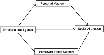 The mediating effect of personal mastery and perceived social support between emotional intelligence and social alienation among patients receiving peritoneal dialysis